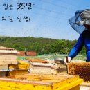 창녕꿀벌농장 이미지
