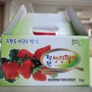 주영농원 이미지