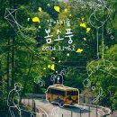 댕댕이숲 이미지