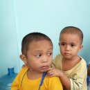 민들레집 이미지