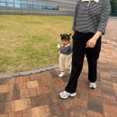 달성화석박물관 | 대구 아이랑 가볼만한곳 : 달성군 달성화석박물관 솔직후기
