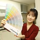 KCC종합페인트 이미지