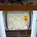 55+ 차오빠의 가요스켓치 | [경주]26.05 경주 찍고 대전