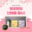 보석십자수수재샵 | 수재샵 보석십자수 봄맞이 이벤트 소식 전해드립니다~♪♬