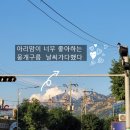 태무지킴이태권도 이미지