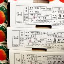 김상진농장 이미지