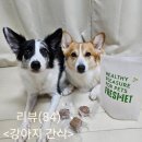 e바라기 | (강아지 간식 추천)프레싯 큐브테린 비프 급여 후기