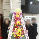 하모니음악학원 이미지