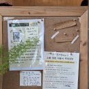 소풍(SoPoong) | 양평 두물머리 인근 카페 소풍 리뷰 - 두물머리와 새미원을 구경하고 들러볼 만한 귀여운 고양이가 있는...