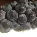 마중물 농장 이미지