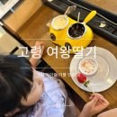 다지 1 다산노인당 | [고령가볼만한곳] 고령 여왕딸기 딸기체험패키지
