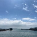 안면도바다사랑낚시 이미지