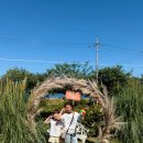 정들고펜션 이미지