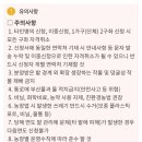 g0004 이미지