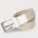 페르시안 캣 이미지