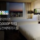 엔조이여행사 이미지