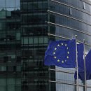 pet176나8690 이미지