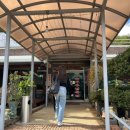 느티나무식당 이미지