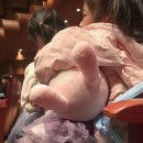 청주예술의전당 대공연장 | 청주 예술의전당 호기심딱지 공연 후기｜좌석·주차·방석 꿀팁 정리