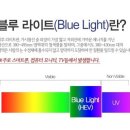 안경과사람들 이미지