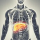 리버샷 복싱 이미지