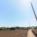 김앤김공인중개사사무소 이미지