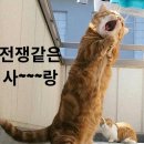 스타동전노래연습장 이미지