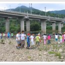 진교초등학교 이미지