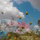 혜성 당구장 이미지