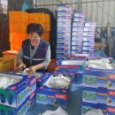 육일농원 이미지