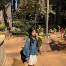 영화의거리 내(아델리스 103동 앞) | 홍콩팡팡 -3