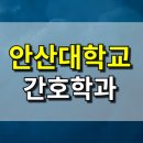 안산대학교 | 안산대학교 간호학과 대졸자전형 합격 준비 후기