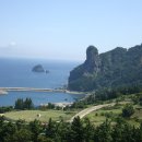 독도환경 이미지