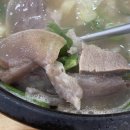 강릉진주식당 티스토리