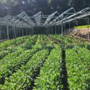 정한 태양광발전소 이미지