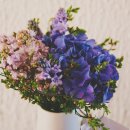 노동부 1 이미지