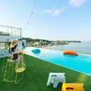 미스터와이 애견풀빌라 이미지