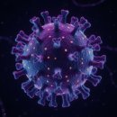 씨유 방어경인점 | 니파바이러스, 감기의 가면을 쓴 치명적 위협!