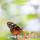 봄비. 빗속을 둘이서, 이미지