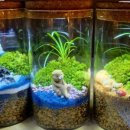 테라리움A 이미지