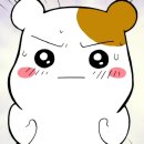 덕산셀프세차장 이미지