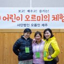 오르미 이미지