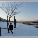 목화 이미지
