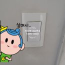 성우전파사