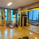 노익스큐즈 이미지