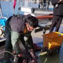 문어통발 이미지