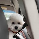 도기캠프 이미지