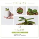 나무플래닛 이미지