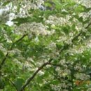 서상농장 이미지