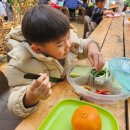 미소주유소 | 휴일에 파주 아이랑 가볼만한곳, 애플샤인농원 귤체험 후기